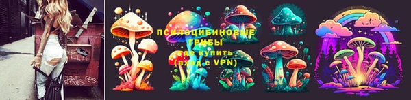 марки lsd Инсар